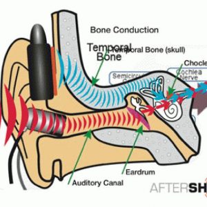 ZUNGLE launches V2 bone conduction sunglasses Viper and Lynx - Bone ...